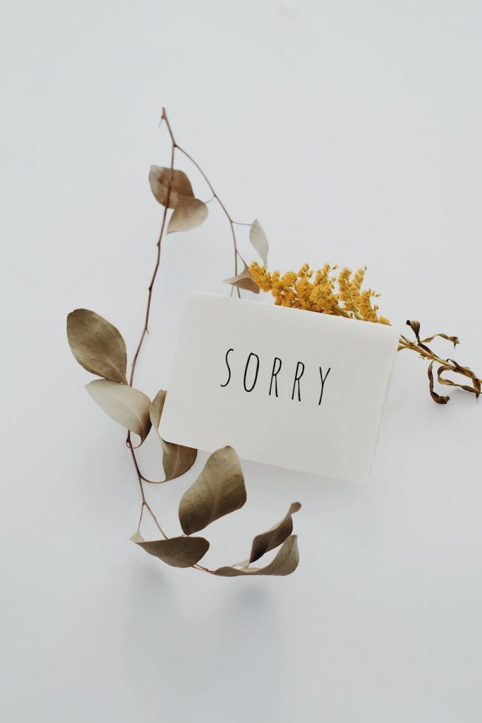 le pardon : photo d'une branche séchée avec un papier où est noté "sorry"