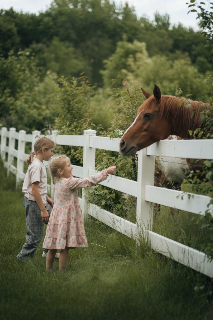 Photo de deux enfants dans la nature en train de nourrir un cheval dans le cadre de l'instruction en famille