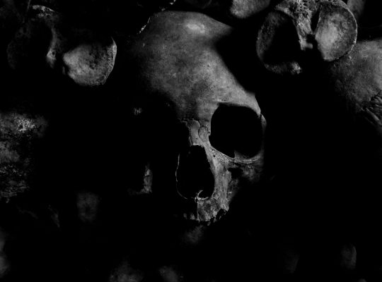 Shadow work : photo d'un crâne humain