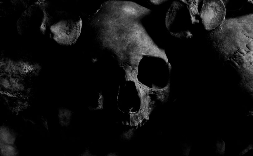 Shadow work : photo d'un crâne humain